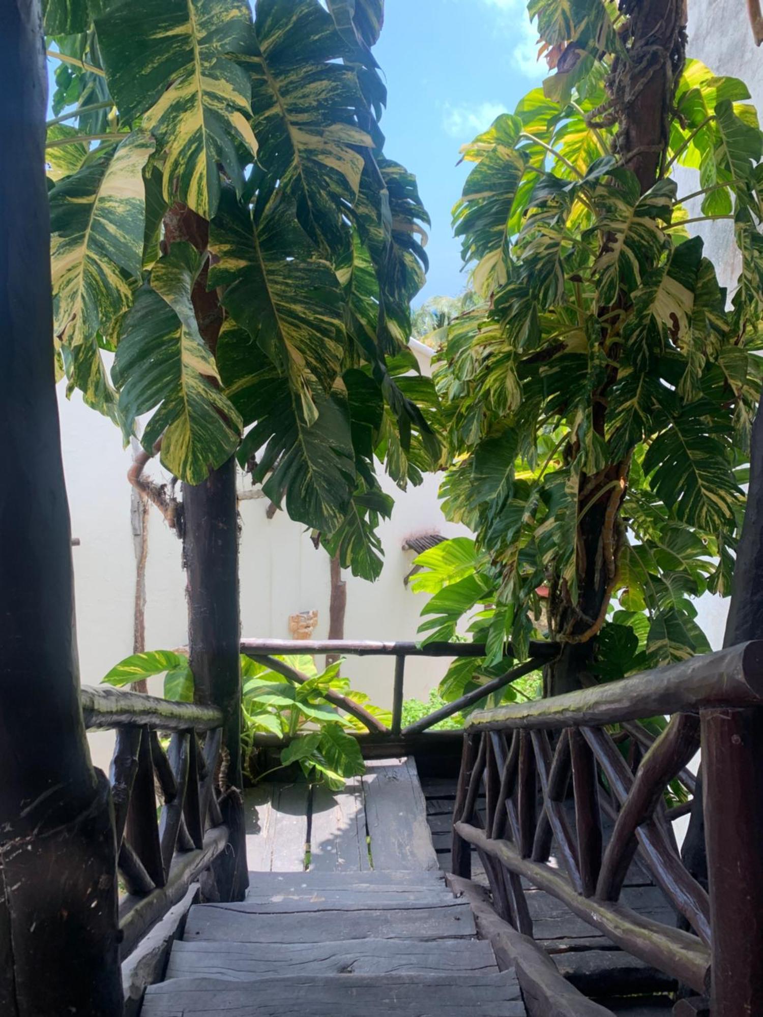 Casa Caribe Cancun Exterior photo A view of the garden